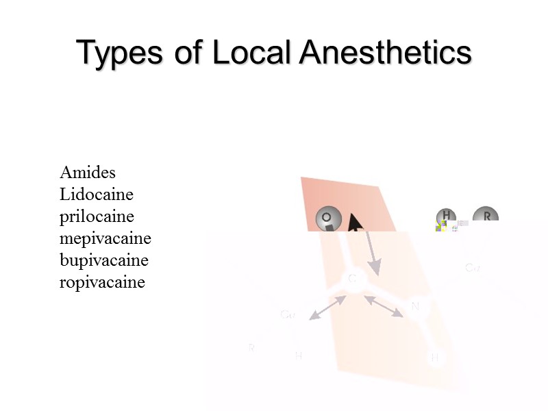 Types of Local Anesthetics Amides Lidocaine prilocaine mepivacaine bupivacaine Types of Local Anesthetics Amides Lidocaine prilocaine mepivacaine bupivacaine